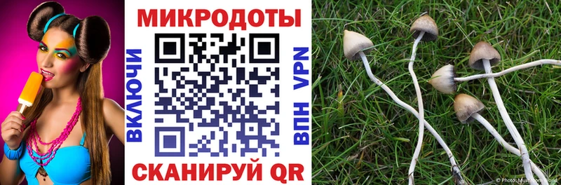 Галлюциногенные грибы GOLDEN TEACHER  наркошоп  Бодайбо 
